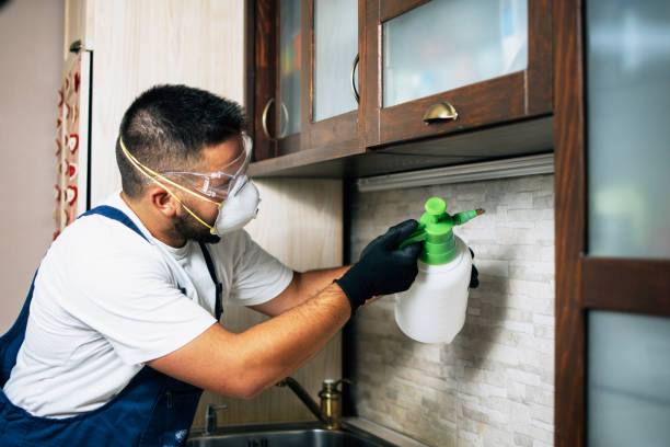 Best Flea Control Services  in West Point, NY